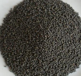 <a href='http://m.sdpengxu.cn/jsll/15.html' target='_blank'><u>生物陶粒濾料生產(chǎn)廠家</u></a>